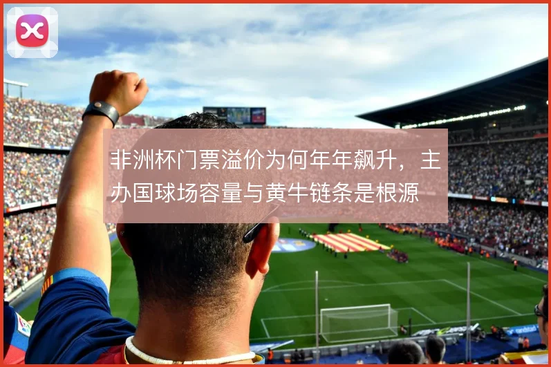 非洲杯门票溢价为何年年飙升,主办国球场容量与黄牛链条是根源