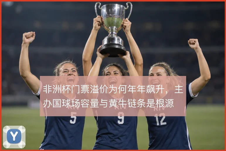 非洲杯门票溢价为何年年飙升,主办国球场容量与黄牛链条是根源