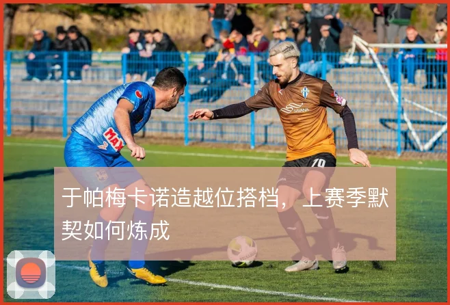 于帕梅卡诺造越位搭档,上赛季默契如何炼成