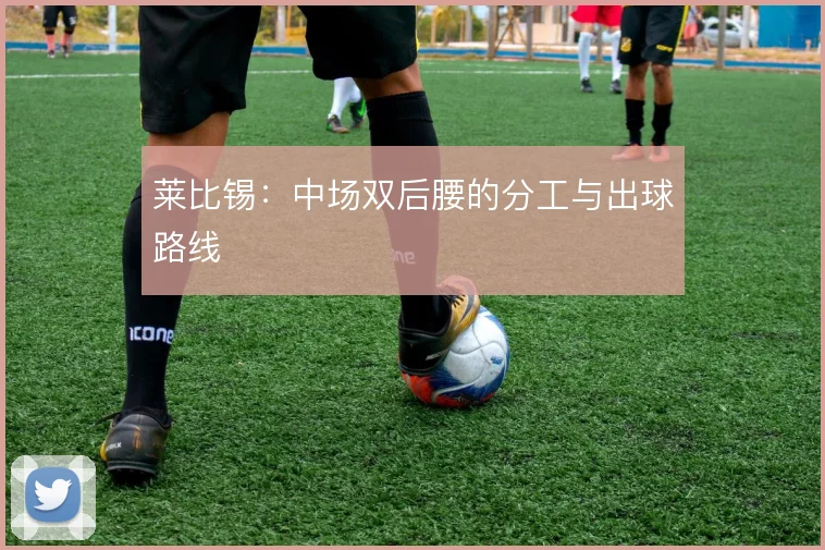 莱比锡:中场双后腰的分工与出球路线